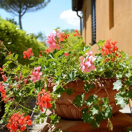 Ferienhaus Le Del Conventino Di Marciano