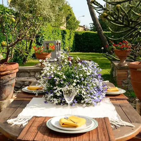 Le Del Conventino Di Marciano * 锡耶纳