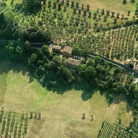 Le Del Conventino Di Marciano