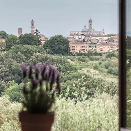 Le Del Conventino Di Marciano *