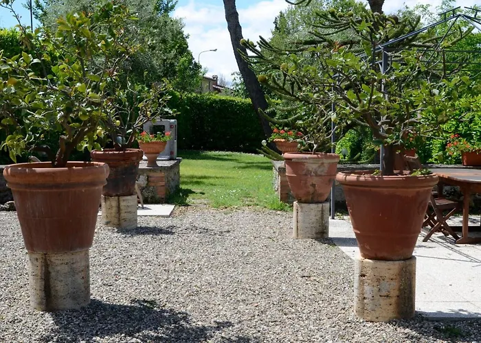 Le Del Conventino Di Marciano