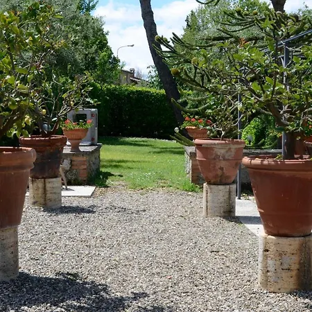 Le Del Conventino Di Marciano