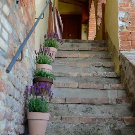 Le Del Conventino Di Marciano 锡耶纳