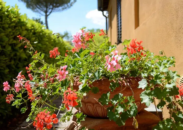 Tatil Evi Le Del Conventino Di Marciano