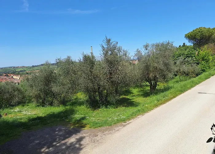 Le Del Conventino Di Marciano Tatil Evi *