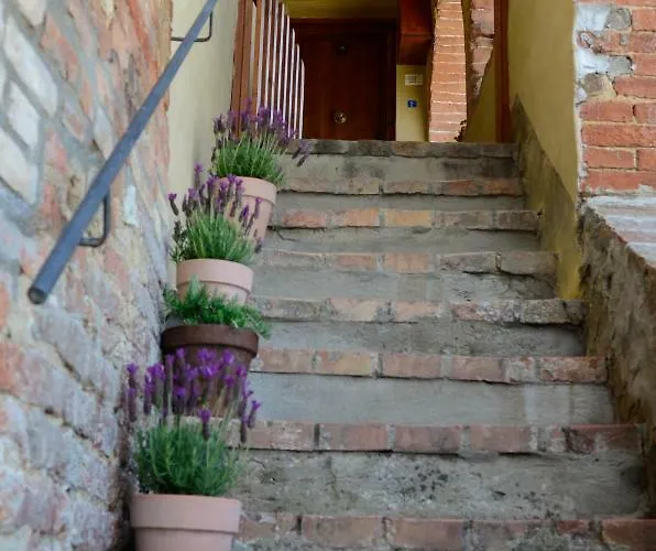 Le Del Conventino Di Marciano Siena