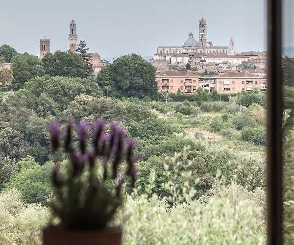 Le Del Conventino Di Marciano *